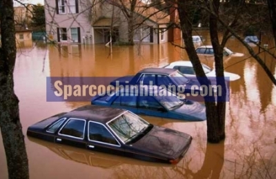 Cách tránh mua phải chiếc ô tô đã bị thủy kích hay ngập nước